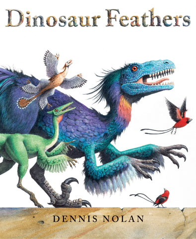 Dinosaur Feathers - Nolan, Dennis (Hardcover)