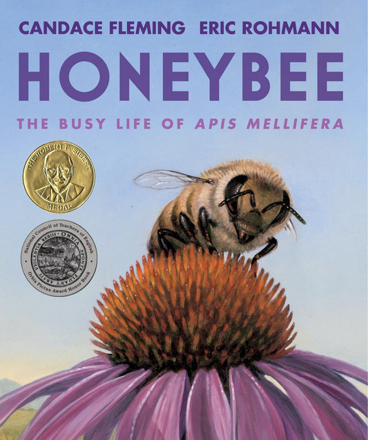 Honeybee: The Busy Life of APIs Mellifera - Fleming, Candace (Hardcover)-Children's Books/Ages 9-12 Nonfiction-9780823442850-BookBizCanada