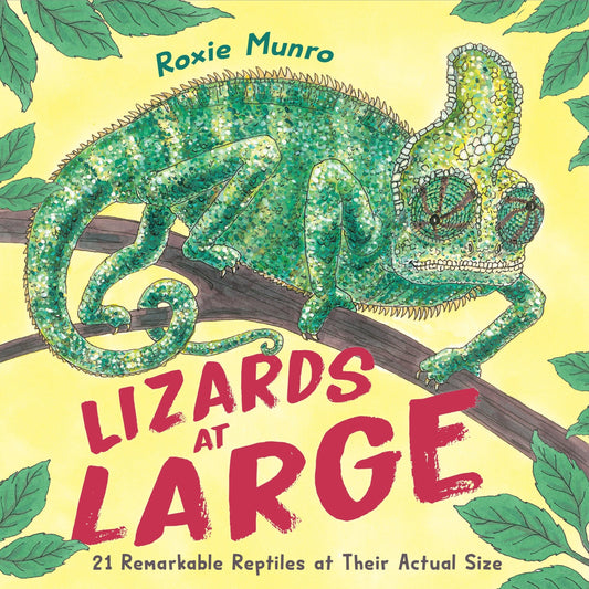 Lizards at Large: 21 Remarkable Reptiles at Their Actual Size - Munro, Roxie (Hardcover)-Children's Books/Ages 4-8 Nonfiction-9780823453603-BookBizCanada