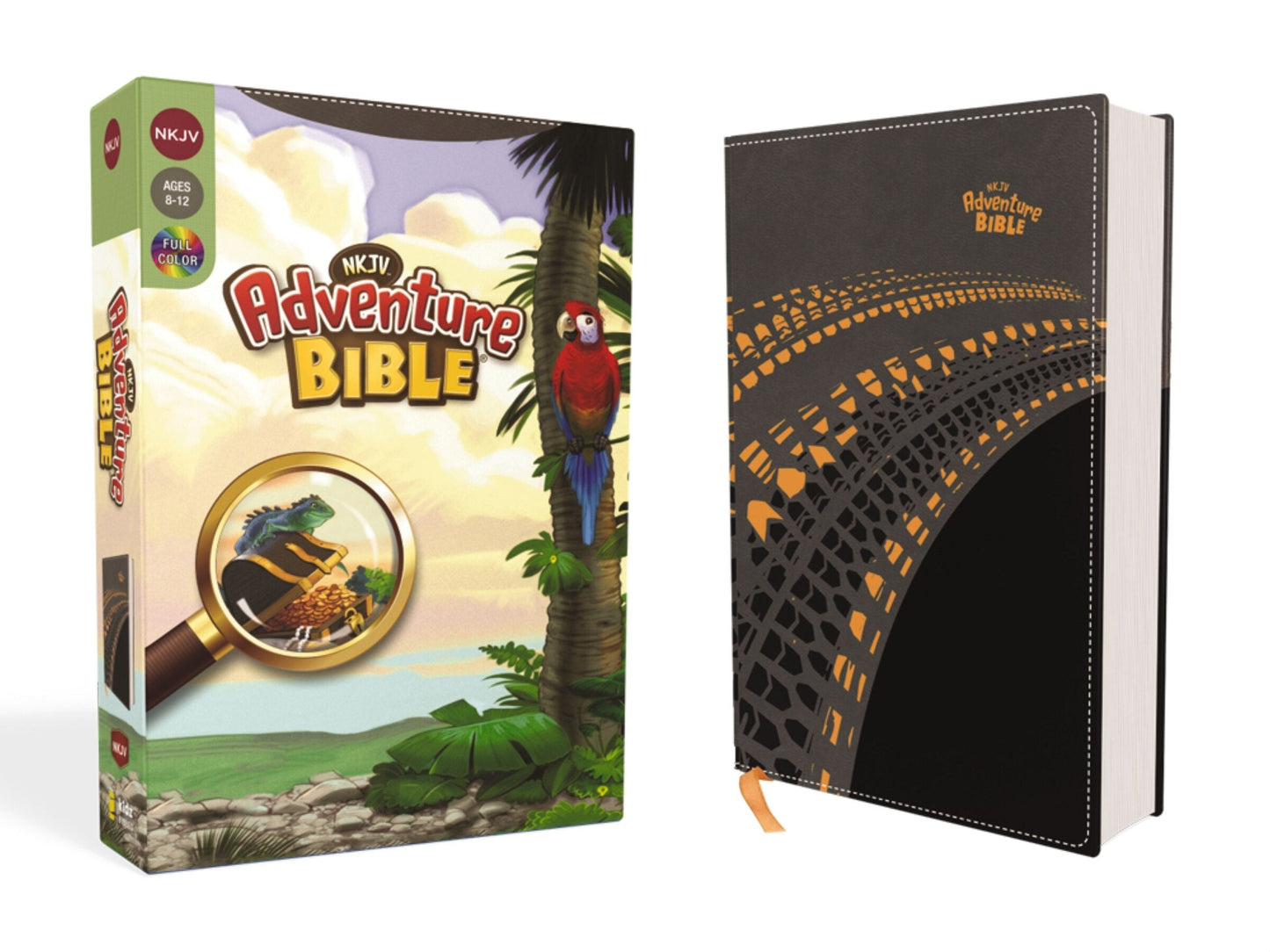 Nkjv, Adventure Bible, Leathersoft, Gray, Full Color-Bibles-9780310154303-BookBizCanada