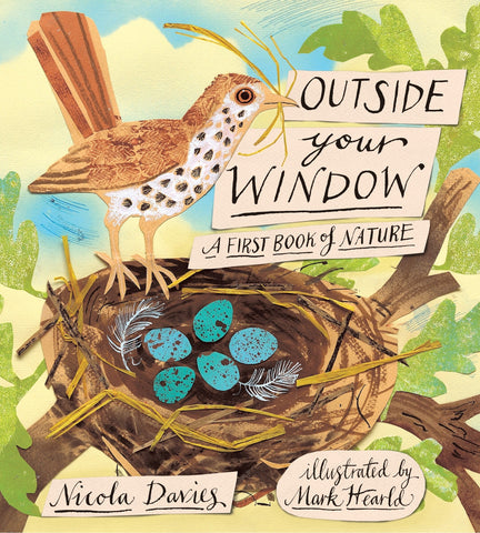 Outside Your Window: A First Book of Nature - Davies, Nicola (Hardcover)