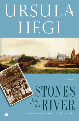 Stones from the River - Hegi, Ursula (Paperback)