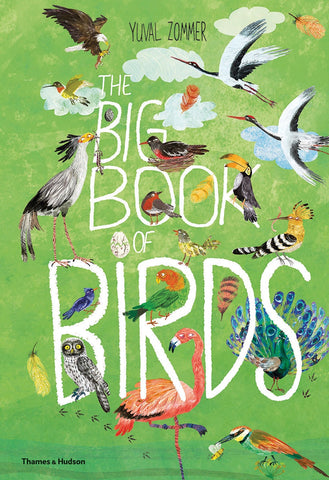 The Big Book of Birds - Zommer, Yuval (Hardcover)