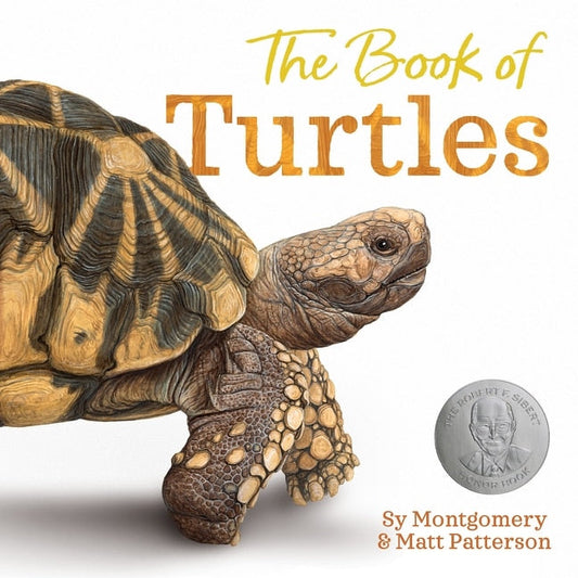 The Book of Turtles - Montgomery, Sy (Hardcover)-Children's Books/Ages 4-8 Nonfiction-9780358458074-BookBizCanada