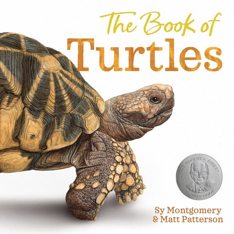 The Book of Turtles - Montgomery, Sy (Hardcover)