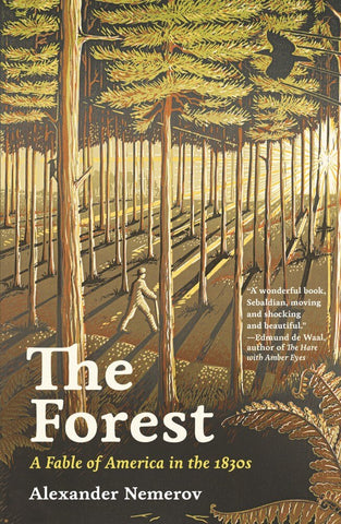 The Forest: A Fable of America in the 1830s - Nemerov, Alexander (Hardcover)