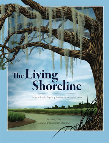 The Living Shoreline: How a Small, Squishy Animal Is a Coastal Hero - Frey, Valerie J. (Paperback)