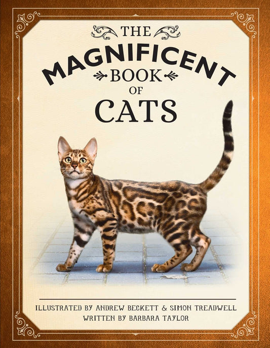 The Magnificent Book of Cats: (Kids Books about Cats, Middle Grade Cat Books, Books about Animals) - Taylor, Barbara (Hardcover)-Children's Books/Ages 9-12 Nonfiction-9781681888866-BookBizCanada