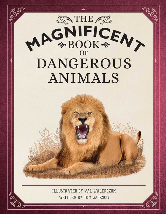 The Magnificent Book of Dangerous Animals - Jackson, Tom (Hardcover)-Children's Books/Ages 9-12 Nonfiction-9781681888699-BookBizCanada