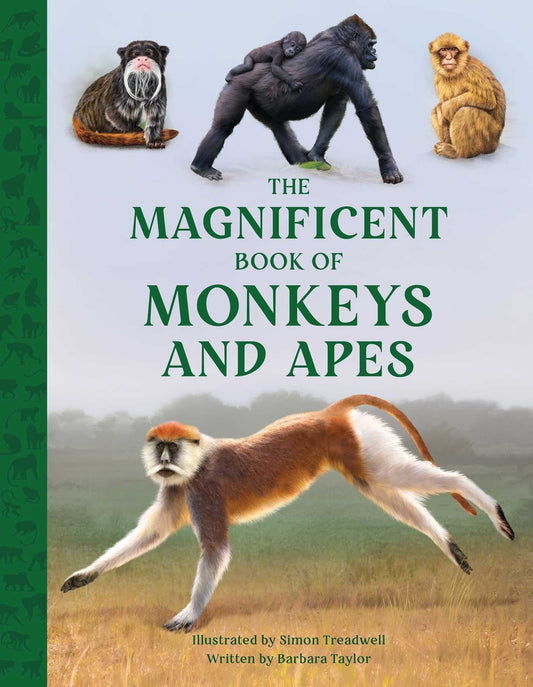 The Magnificent Book of Monkeys and Apes - Taylor, Barbara (Hardcover)-Children's Books/Ages 9-12 Nonfiction-9781681888989-BookBizCanada