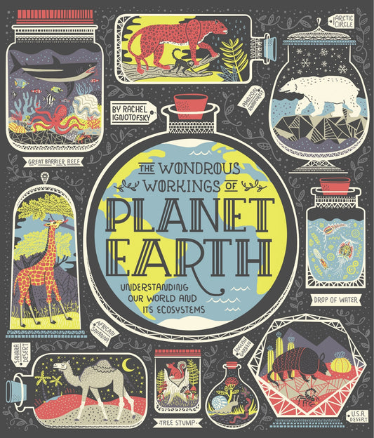 The Wondrous Workings of Planet Earth: Understanding Our World and Its Ecosystems - Ignotofsky, Rachel (Hardcover)-Young Adult Misc. Nonfiction-9780399580413-BookBizCanada