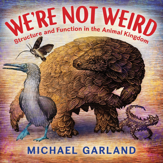 We're Not Weird: Structure and Function in the Animal Kingdom - Garland, Michael (Hardcover)-Children's Books/Ages 4-8 Nonfiction-9780823451029-BookBizCanada